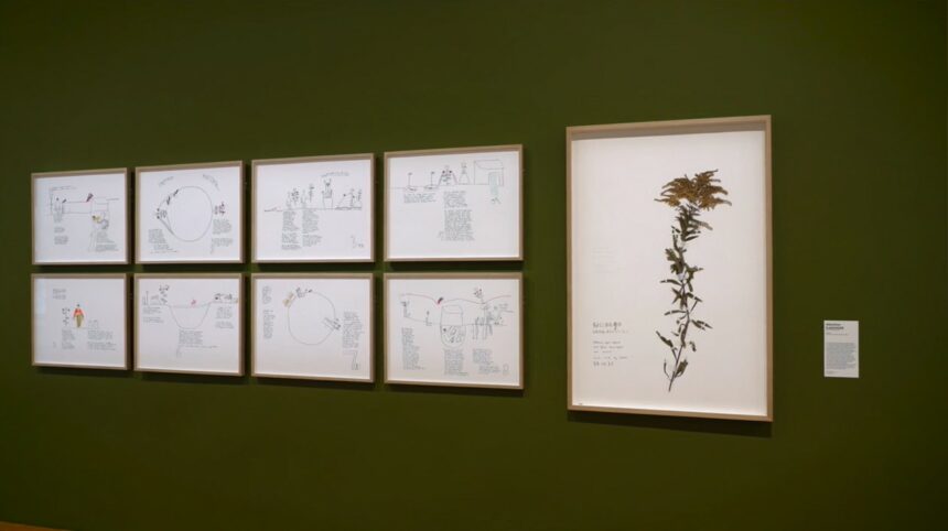 Miniature de la vidéo