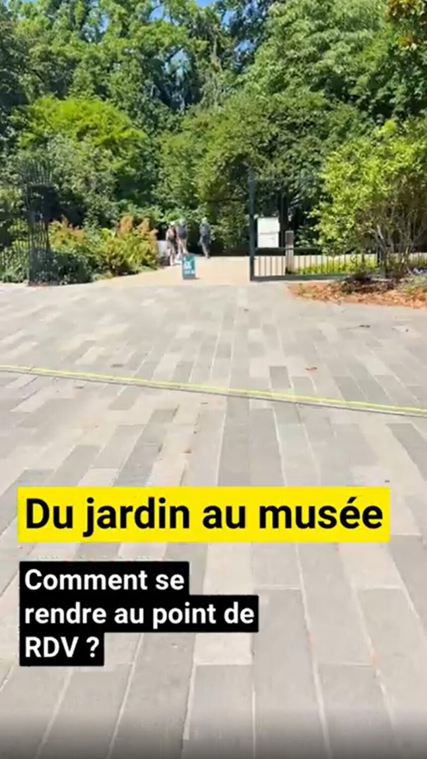 Miniature de la vidéo